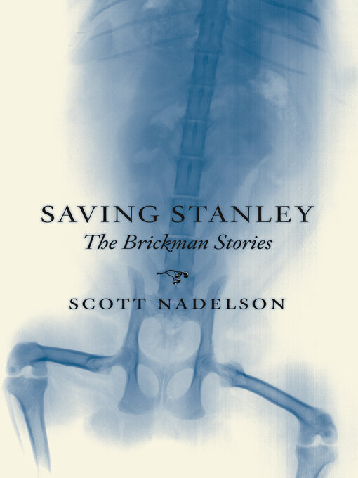 Title details for Saving Stanley by Scott Nadelson - Available